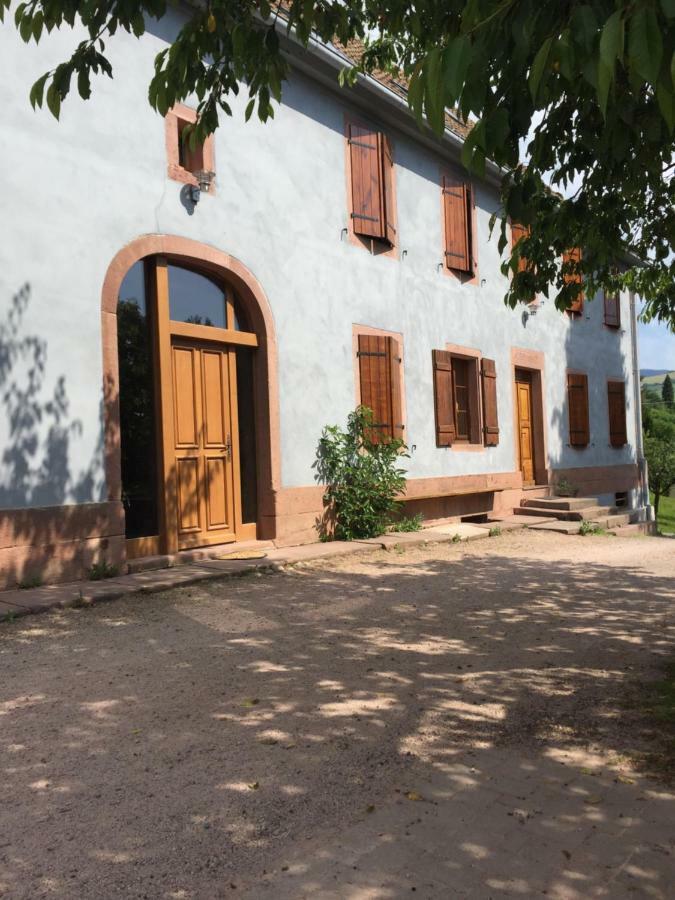 Gite Le Vieux Ruisseau Sauna Et Massages Lapoutroie Exterior foto